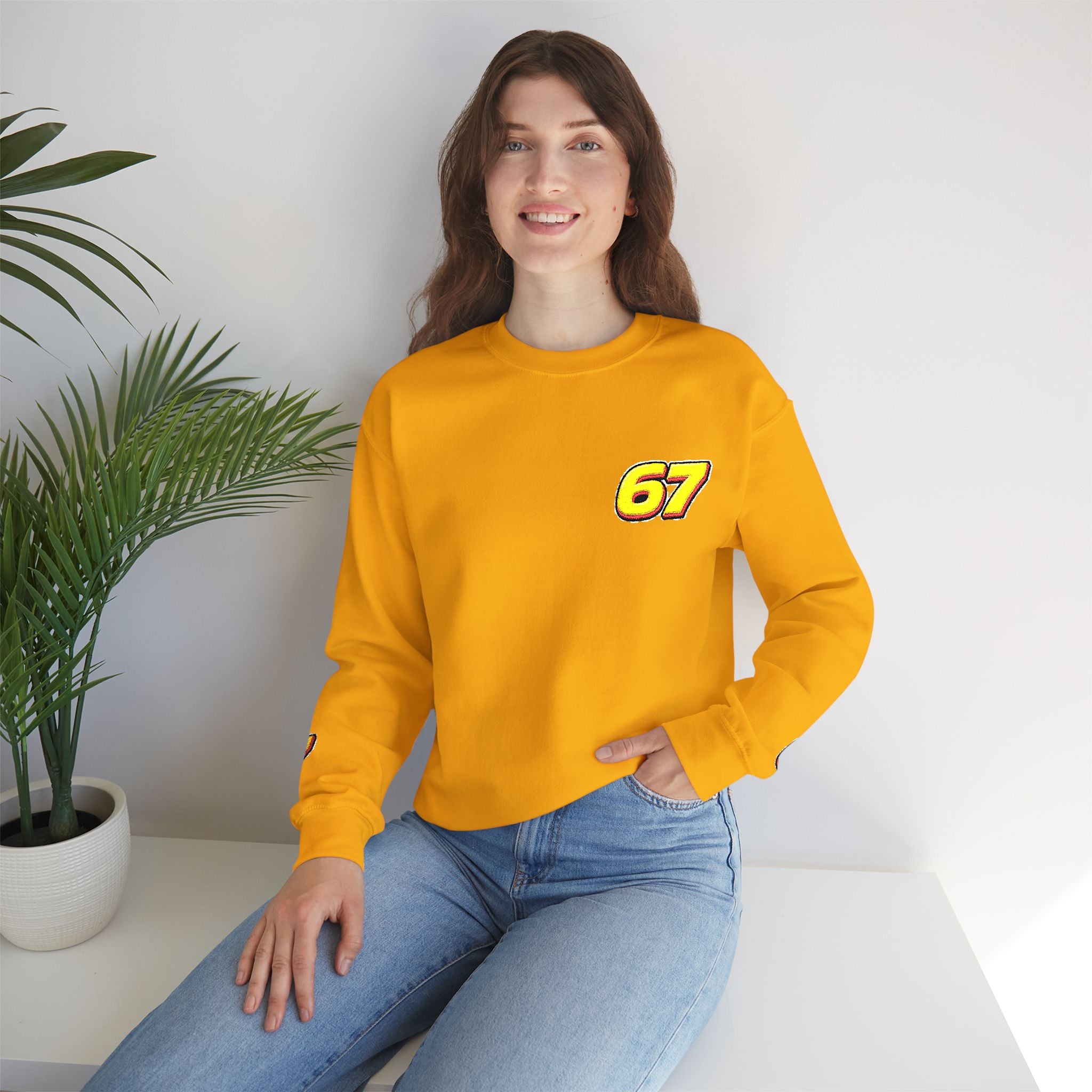67 Retro Racing Logo Sweatshirt — Vintage Number Chest Crewneck